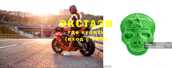 хмурый Болотное