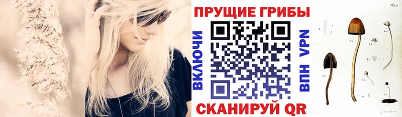 сколько стоит  Эртиль  Галлюциногенные грибы MAGIC MUSHROOMS 